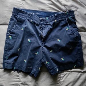 Pineapple detail mens shorts
